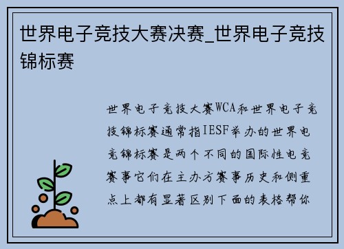 世界电子竞技大赛决赛_世界电子竞技锦标赛